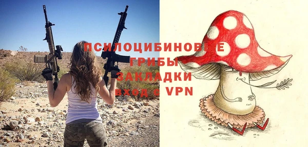 прущая мука Алзамай