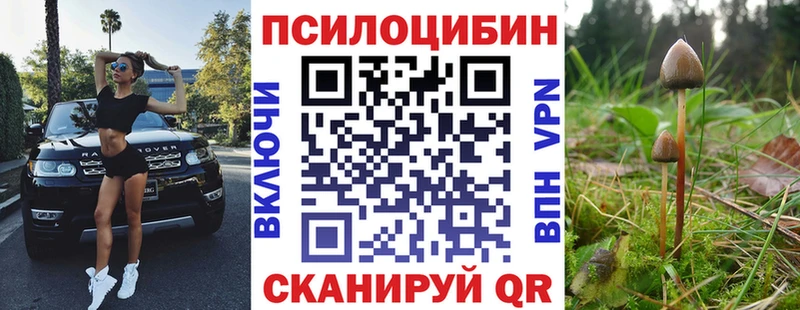 Галлюциногенные грибы мицелий  Кола 